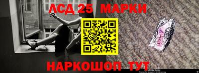 шишки Ярославль