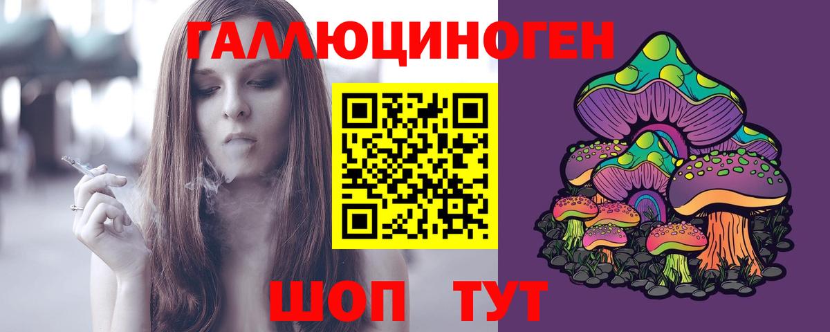 Псилоцибиновые грибы Psilocybine cubensis  Вход с VPN  Ростов-на-Дону 